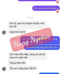 nhuom toc dang bot SCHWARZKOPF PERFECT MOUSSE 3