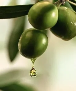 tay trang huu co La Provencale 400ml 4