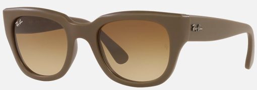 Kính RAYBAN 2220k 2