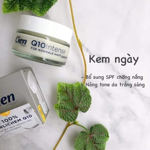 Bộ kem dưỡng CIEN Q10 4