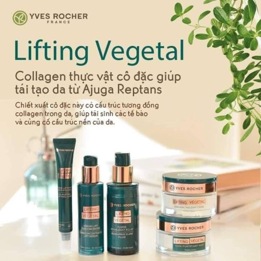 Set dưỡng da Collagen thực vật Lifting Vegetal Yves Rocher 5