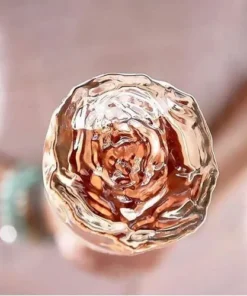 ruou vang Cote des roses 4