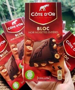 Socola Côte D'OR đen nhân hạt dẻ rừng 4