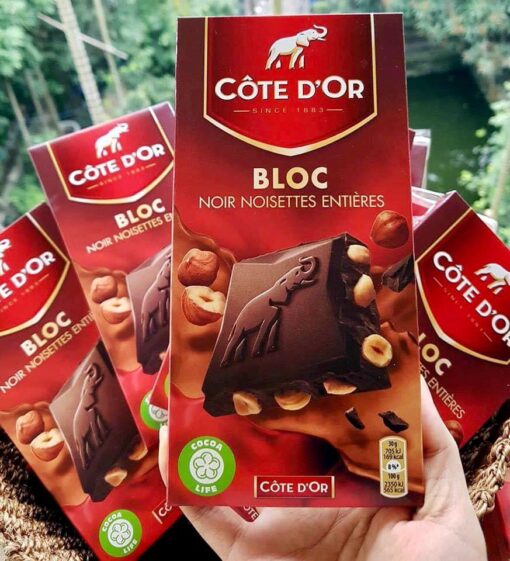 Socola Côte D'OR đen nhân hạt dẻ rừng 4