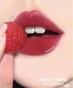 Son Lancôme lAbsolu Rouge Intimatte 888 mini 4