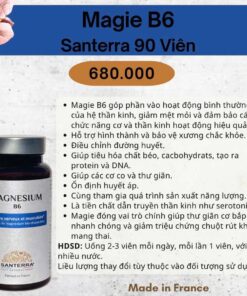 Viên uống Magnesium B6 Santerra 3