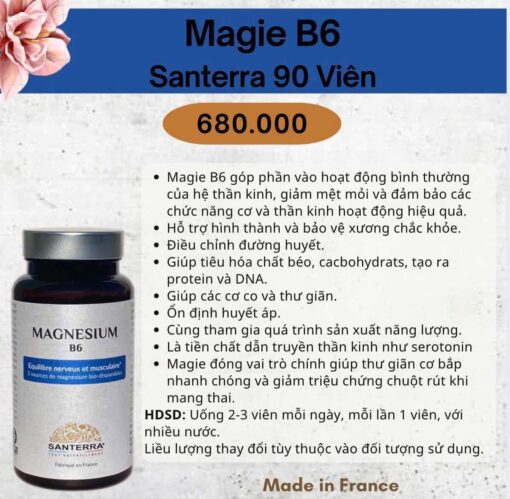 Viên uống Magnesium B6 Santerra 3