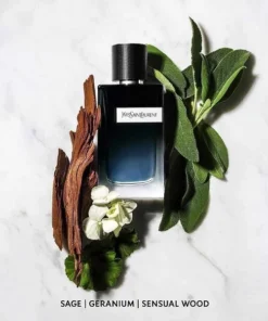 chai chiet Yves Saint Laurent Y 5