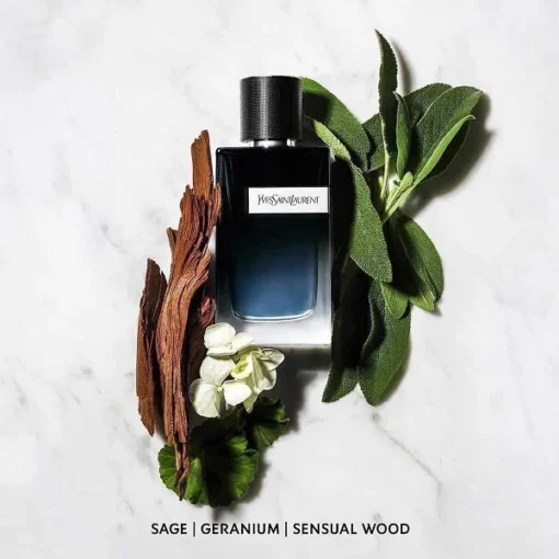 chai chiet Yves Saint Laurent Y 5