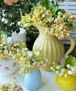 chiet nuoc hoa Fleur dOranger Fragonard 3