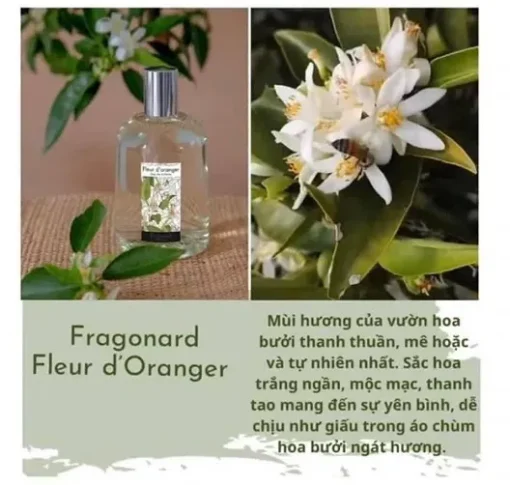 chiet nuoc hoa Fleur dOranger Fragonard 6