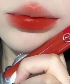 Son Giorgio Armani 205 Lip Maestro 2