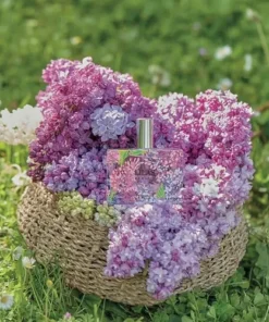 nuoc hoa Fragonard Lilas 50ml 4
